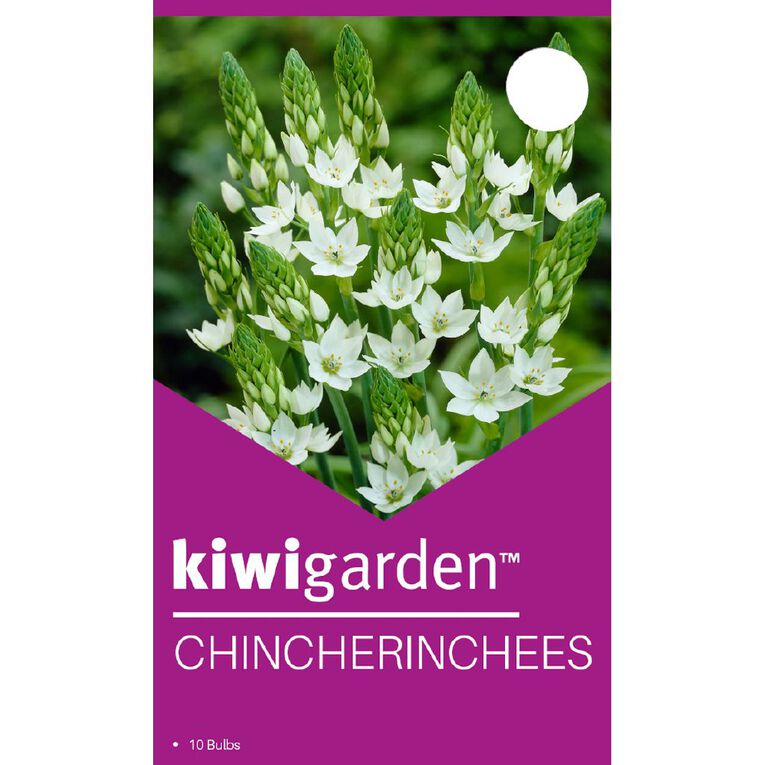 Kiwi Garden Chincherinchees 10 Pack, , hi-res