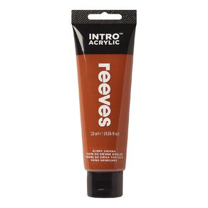 Reeves Intro Acrylic Paint Burnt Sienna 100ml