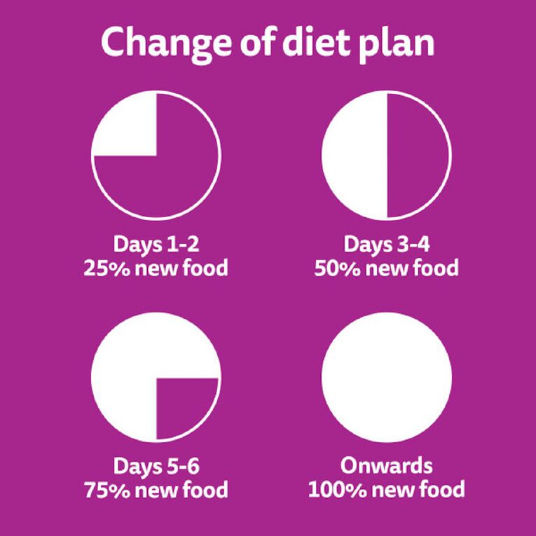 Whiskas Adult Dry Cat Food Beef & Lamb Bag 1.8kg, , hi-res