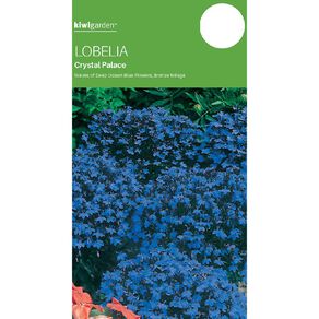 Kiwi Garden Lobelia Crystal Palace Seeds