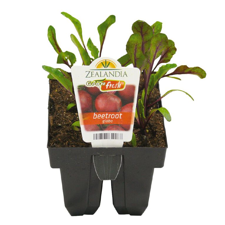 Growfresh Beetroot, , hi-res