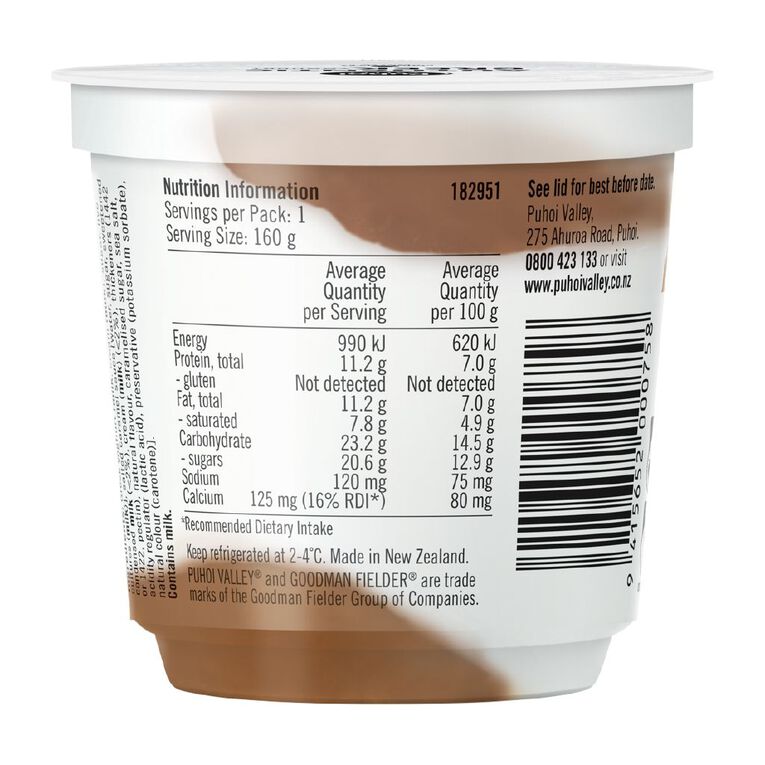 Puhoi Valley Greek Yoghurt Salted Caramel 160g, , hi-res