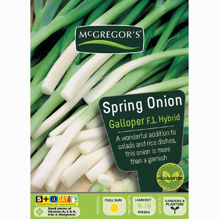McGregor's Hybrid Galloper Spring Onion Vegetable Seeds, , hi-res