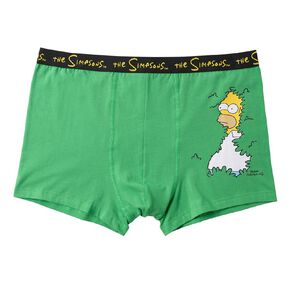 The Simpsons Men's Trunks