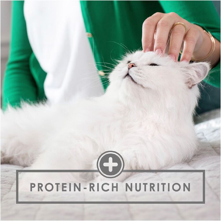 Fancy Feast Chunky Chicken Feast Wet Cat Food 85g, , hi-res