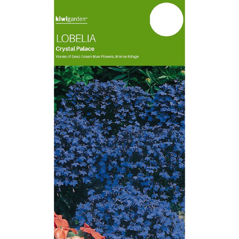 Kiwi Garden Lobelia Crystal Palace Seeds, , hi-res