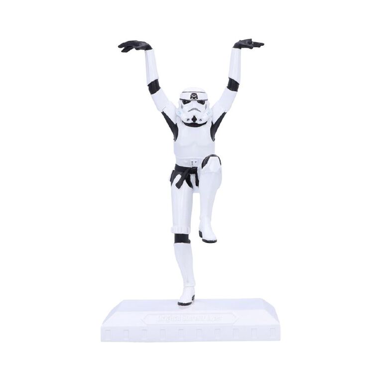Nemesis Now Stormtrooper Crane Kick, , hi-res