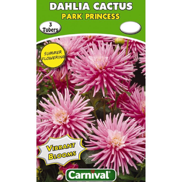 Kiwi Garden Dahlia Bulb Single Variety 3 Pack, , hi-res