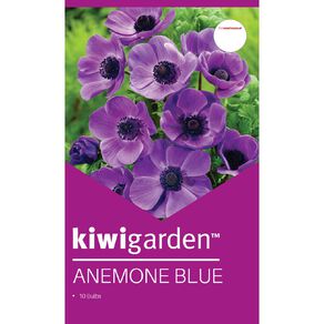 Kiwi Garden Anemone Blue 10 bulbs