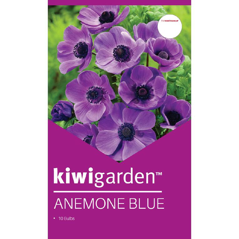 Kiwi Garden Anemone Blue 10 bulbs, , hi-res
