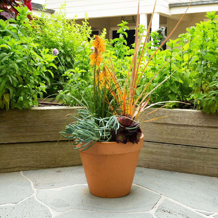 Terracotta 33cm Standard Pot, , hi-res