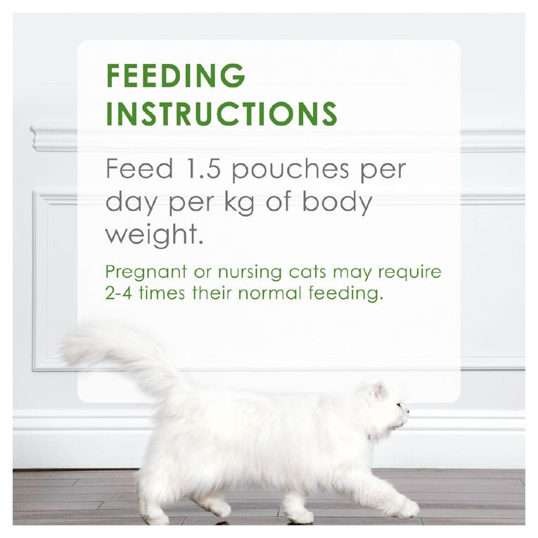Fancy Feast Inspirations Chicken & Chicken Wet Cat Food 12 x 70g, , hi-res