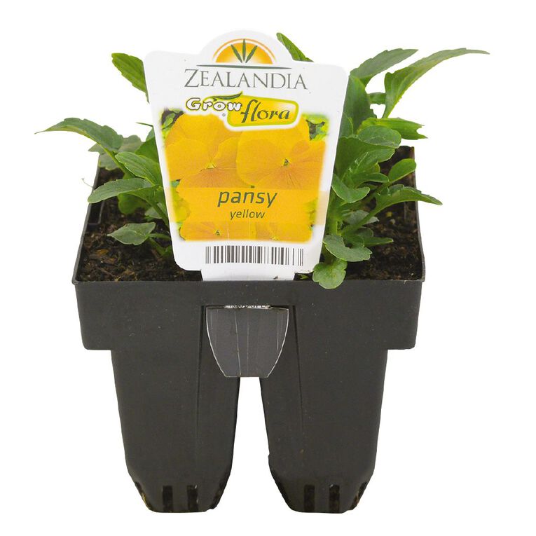 Growflora Pansy Yellow, , hi-res