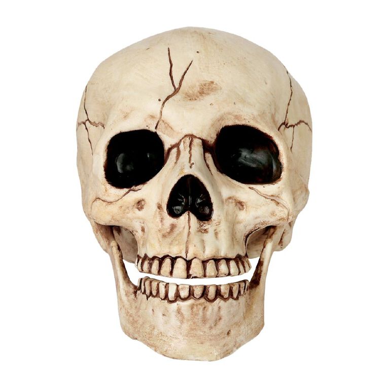 Seasons Skeleton Skull Decoration, , hi-res