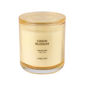 Living & Co Homestay Lemon Blossom Candle 11oz