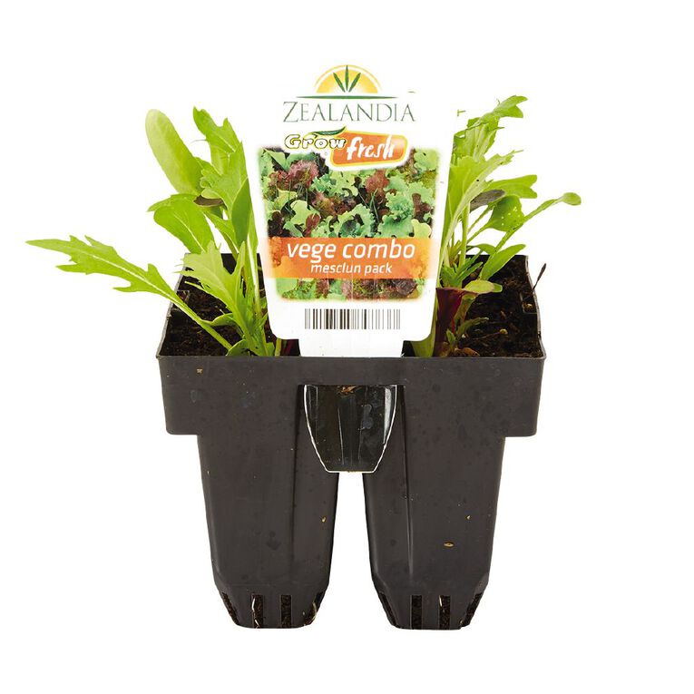 Growfresh Vege Combo Mesclun, , hi-res