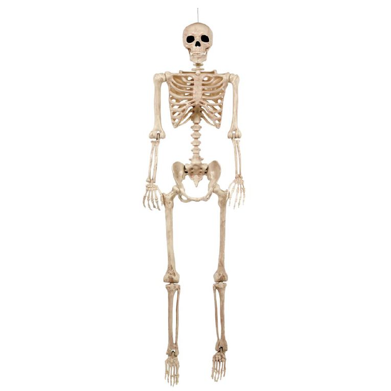 Seasons Life Size Poseable Skeleton Decoration 152cm, , hi-res