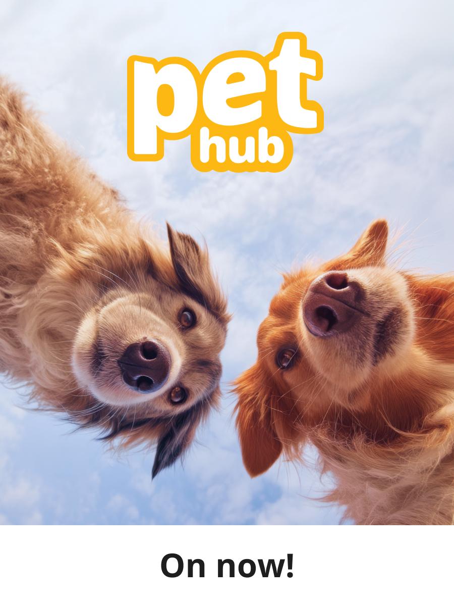Pet hub