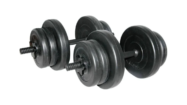 Active Intent Fitness Vinyl Weight Black 20kg