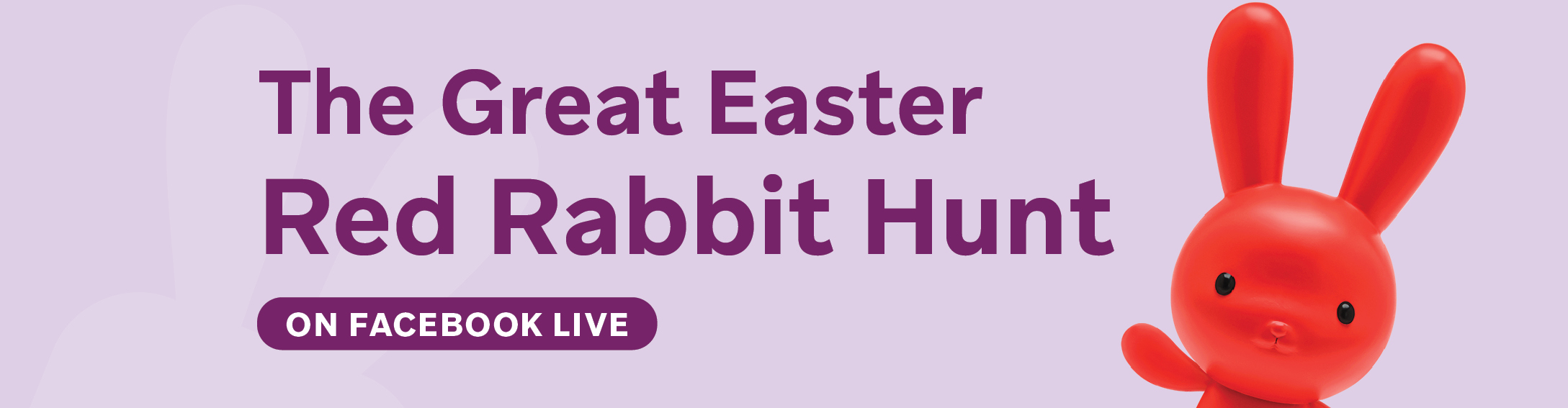 Red Rabbit FB Activity