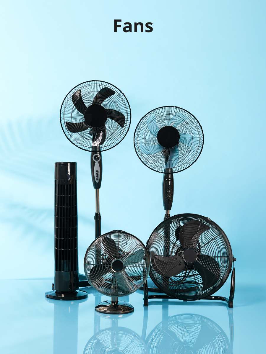 Fans