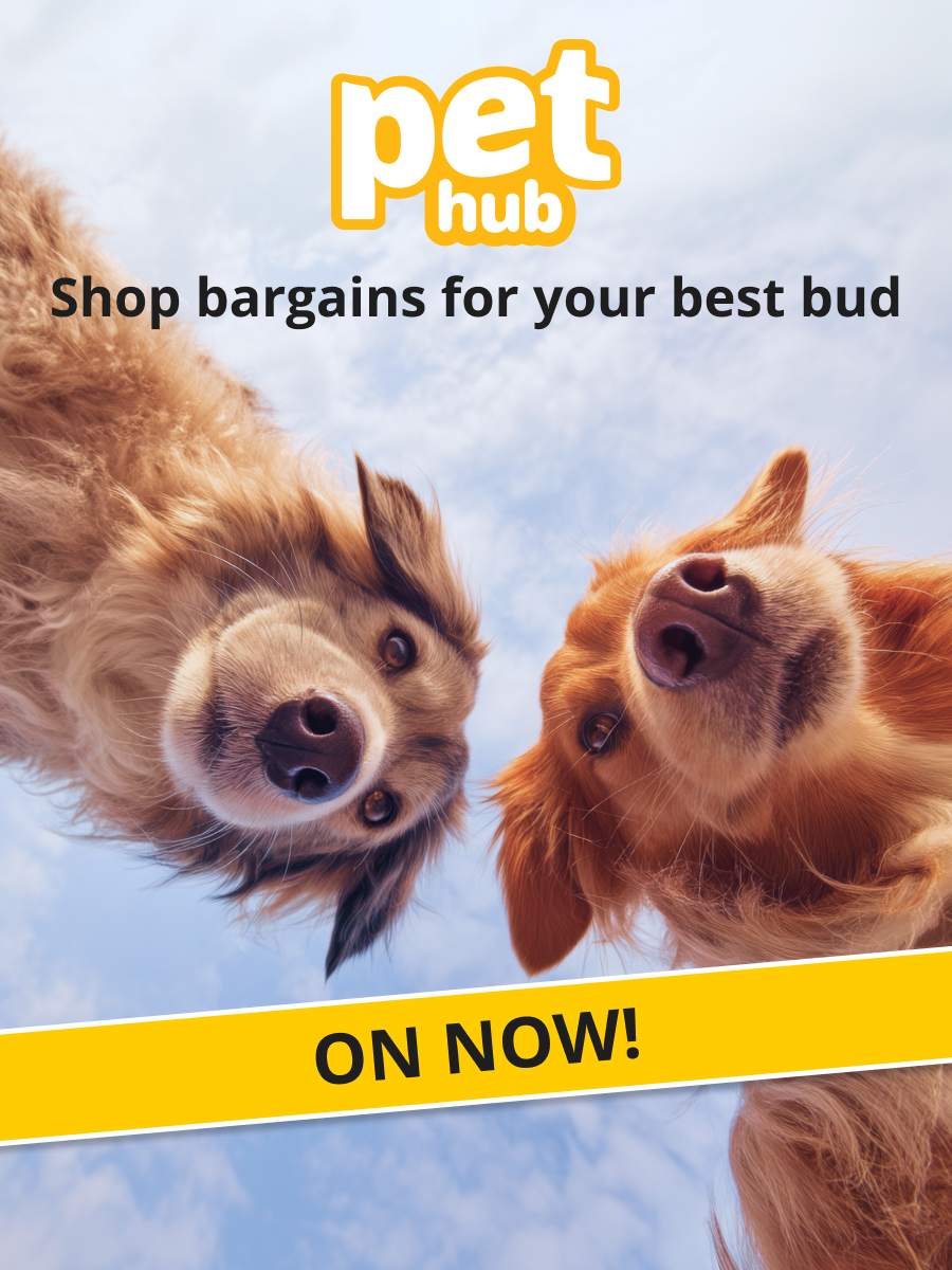 Pet Hub on now