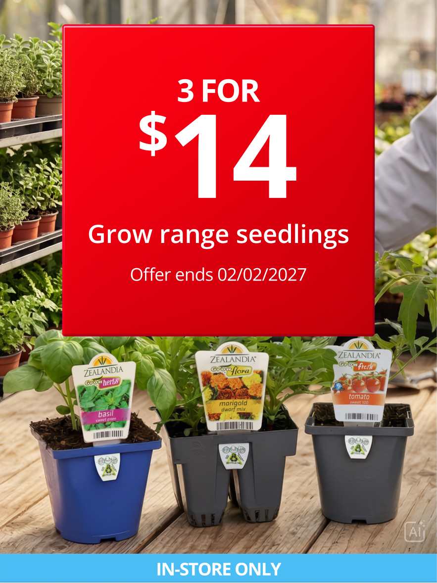 3 for $14 Grow seedlings