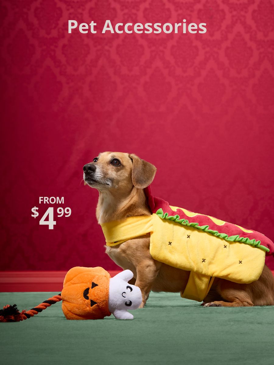 Halloween Pet Costumes