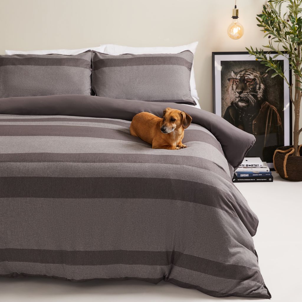 Living & Co Brushed Duvet Cover Set Charcoal Queen Charcoal The Warehouse