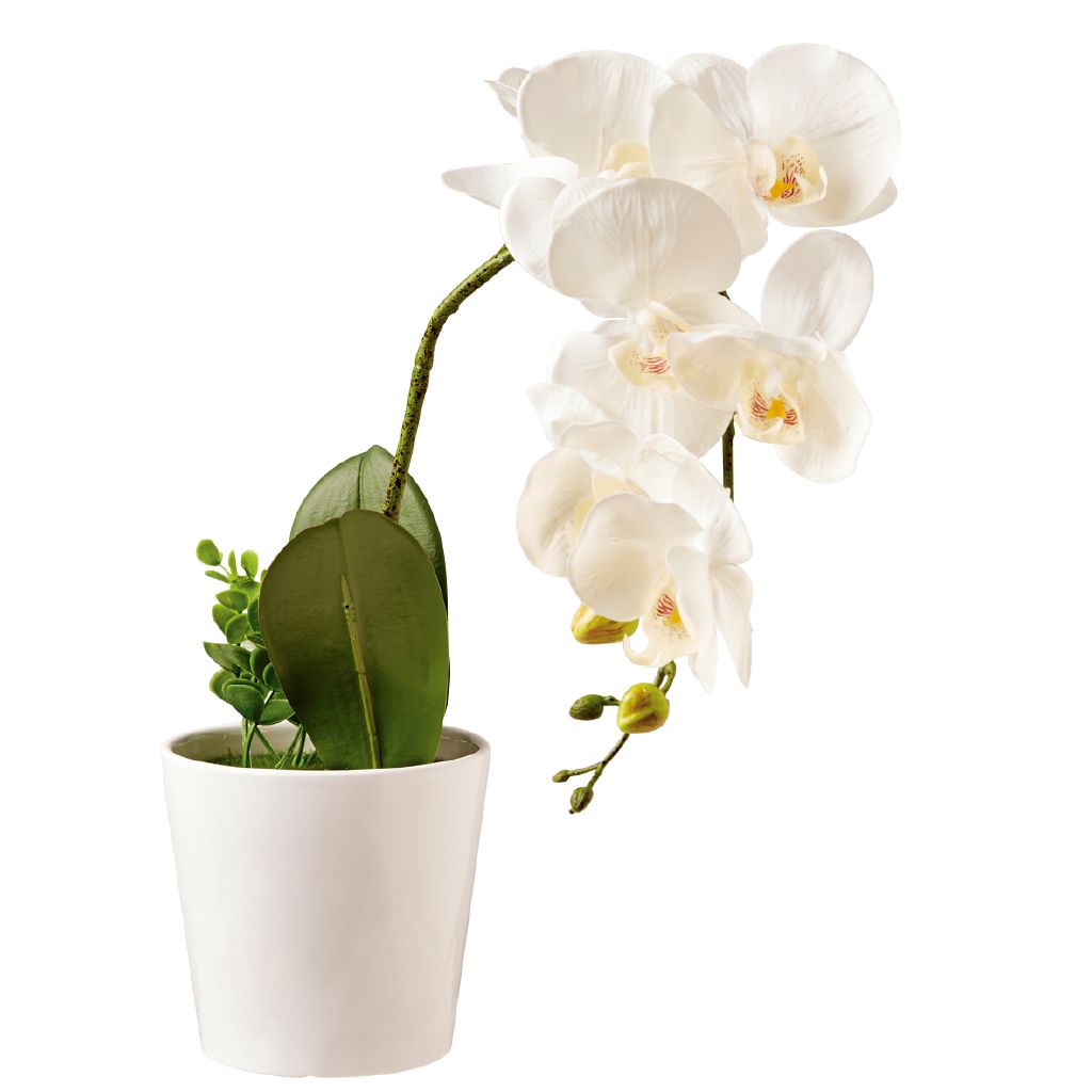 Living & Co Artificial Pot Orchid Flower White White 58cm White The