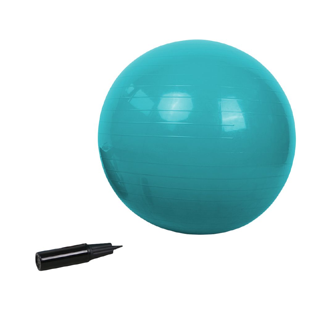 Active Intent Fitness Gym Ball 65cm The Warehouse