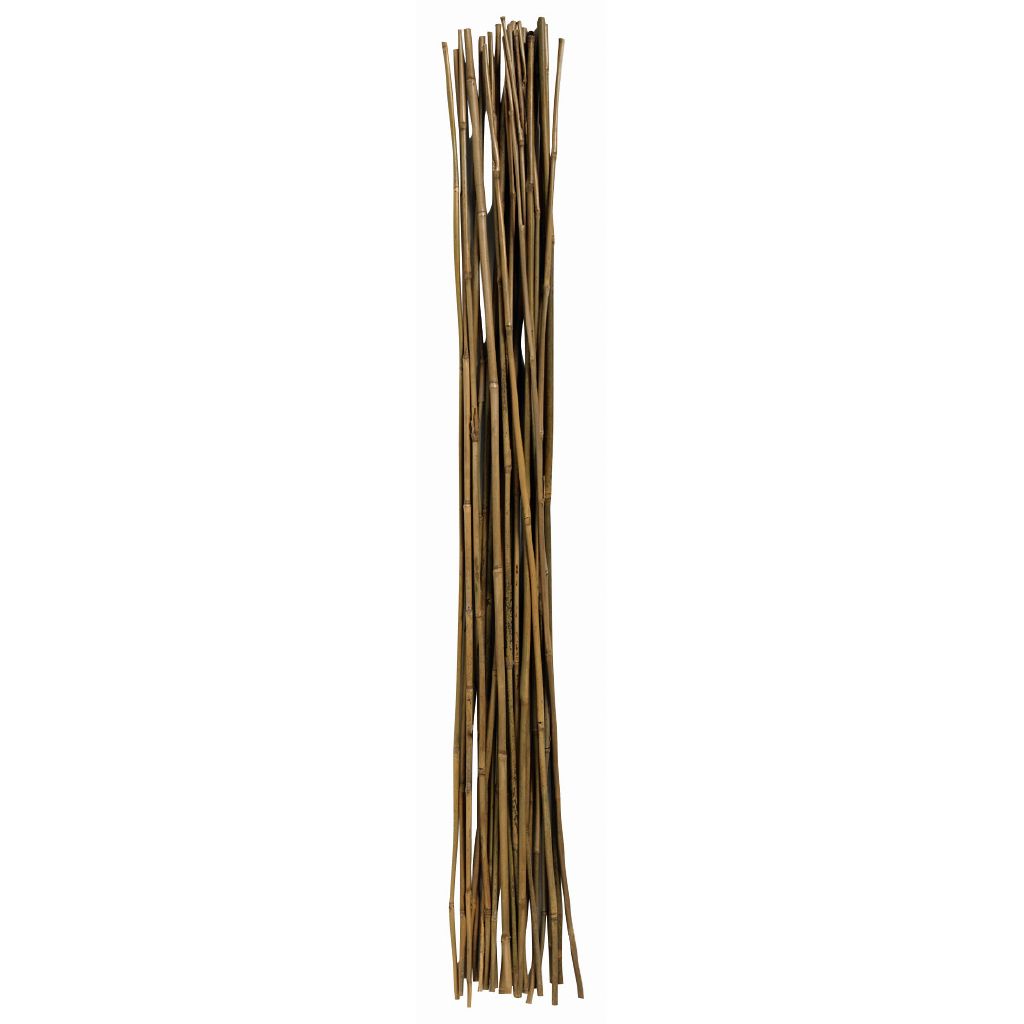 Bamboo Garden Stakes Nz Fasci Garden