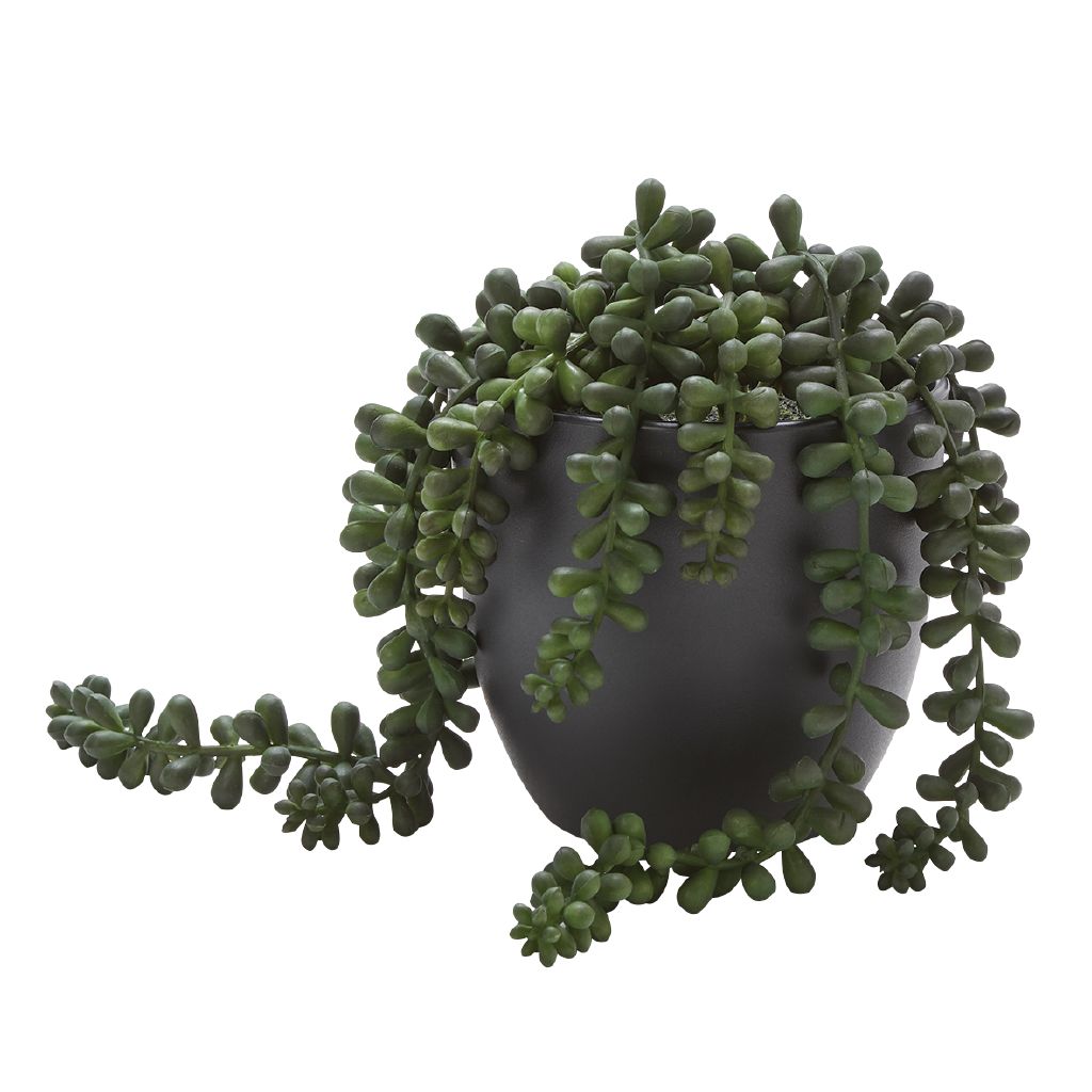 Living & Co Artificial Succulent Beaded Plant Black Black The Warehouse