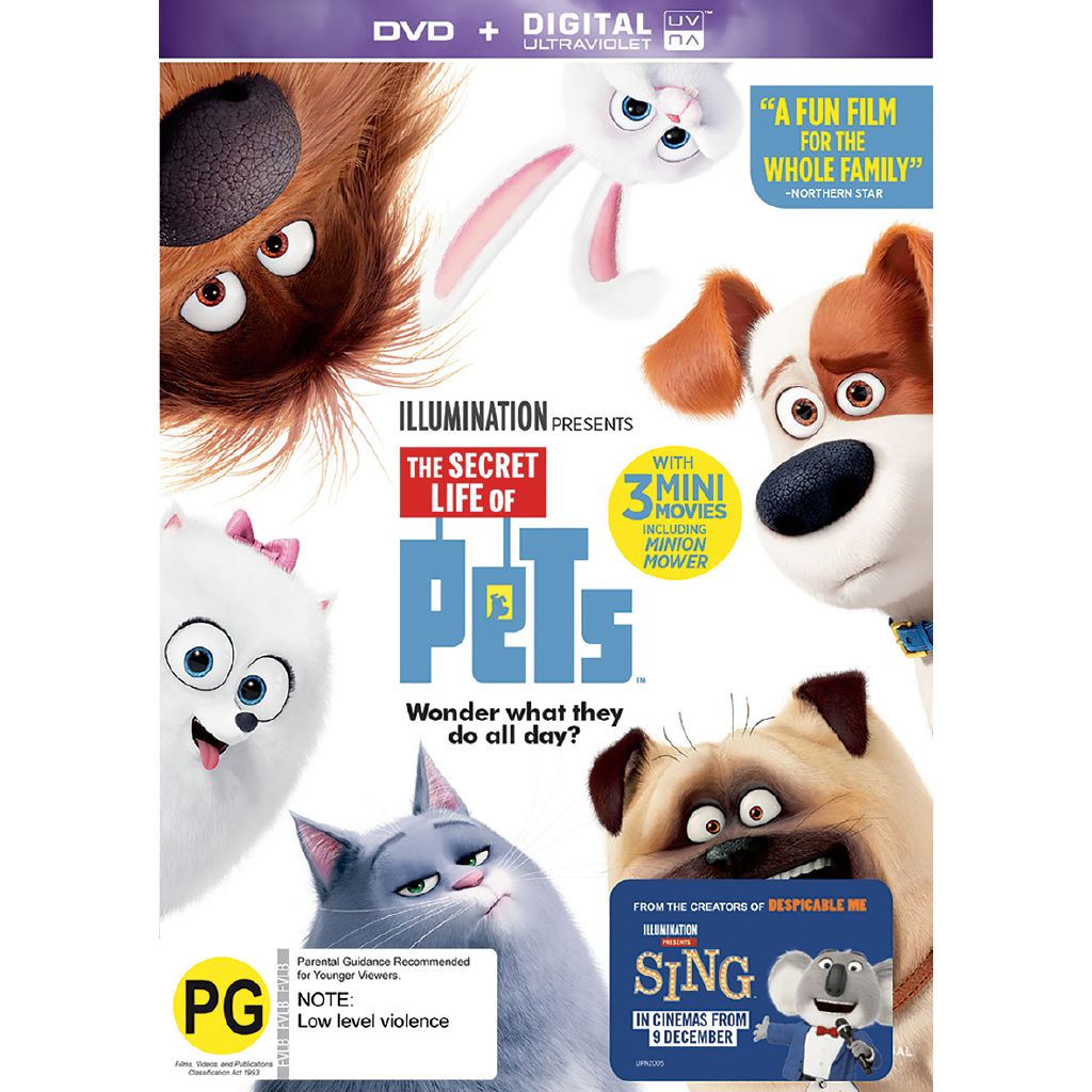 Pets For Life Near Me Best Places To Buy Healthy Dogs In Singapore By Digitalmediaa Issuu