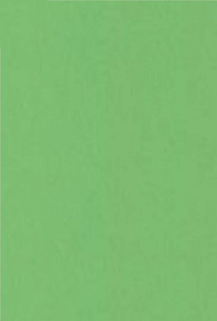 Kaskad Paper 80gsm Woodpecker A4 500 Pack Green Mid | The Warehouse